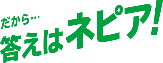 だから・・・答えはネピア！