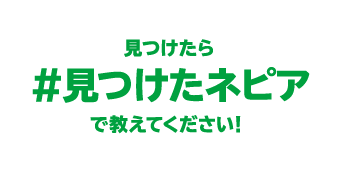 見つけたら「＃見つけたネピア」で教えてください！