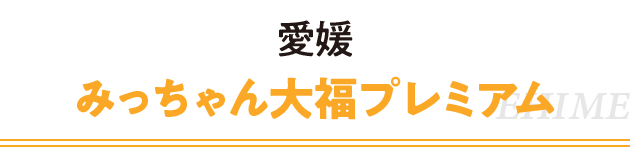 愛媛 みっちゃん大福プレミアム