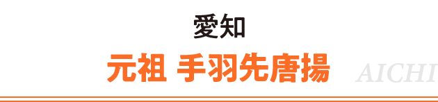 愛知 元祖 手羽先唐揚