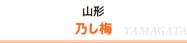 山形 乃し梅