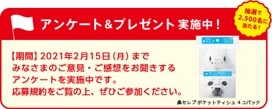 ツルハグループnepia千のトイレプロジェクト応援キャンペーン