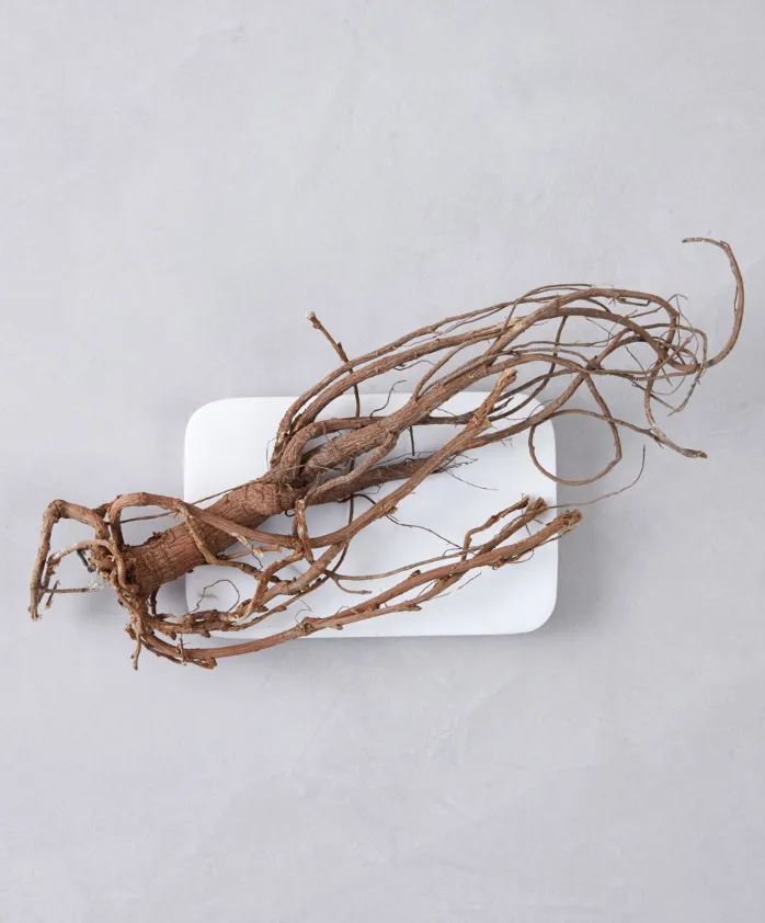 グループ会社が成功させた国産カンゾウの大規模栽培